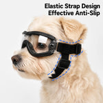 These Pet Dog Sunglasses Can Block Ultraviolet Rays