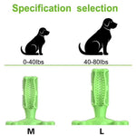 Pet Dog Cactus Interactive Rubber Bite Resistant