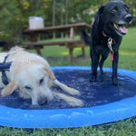 Swimming Pool Inflatable Water Sprinkler Pad Play Cooling