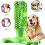 Pet Dog Cactus Interactive Rubber Bite Resistant