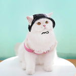 Dog cat anti-strangle hat anti-off ear adjustable rope