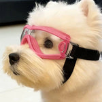 These Pet Dog Sunglasses Can Block Ultraviolet Rays