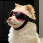 These Pet Dog Sunglasses Can Block Ultraviolet Rays