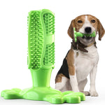 Pet Dog Cactus Interactive Rubber Bite Resistant