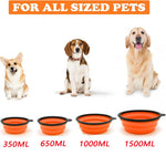 Folding Portable Silicone Dog Feeder Bowl 2 In 1 Pet Dispenser Outdoor