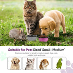 Folding Portable Silicone Dog Feeder Bowl 2 In 1 Pet Dispenser Outdoor