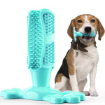 Pet Dog Cactus Interactive Rubber Bite Resistant