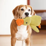 Dog Calming Duck Yellow Duck Dog