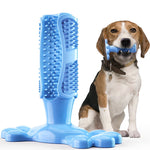 Pet Dog Cactus Interactive Rubber Bite Resistant