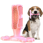 Pet Dog Cactus Interactive Rubber Bite Resistant