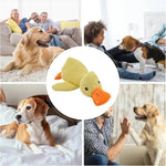Dog Calming Duck Yellow Duck Dog