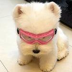 These Pet Dog Sunglasses Can Block Ultraviolet Rays