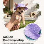 Dog cat anti-strangle hat anti-off ear adjustable rope