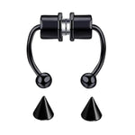 Magnetic Septum Ring